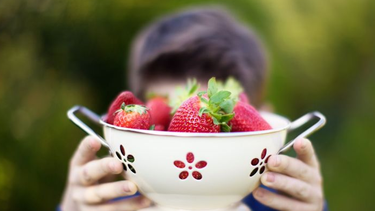 Es importante enseñar a los niños a comer bien desde pequeños