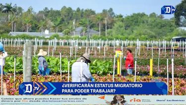 ¿verificaran estatus migratorio para poder trabajar?