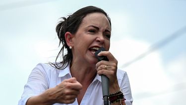 La precandidata presidencial María Corina Machado, que lidera los estudios de opinión con una intención de voto de 55%, según la firma Datanálisis, ha sido víctima de los ataques de la dictadura chavista desde que manifestó su intención de participar en las primarias opositoras de Venezuela.