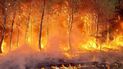 Esta foto proveída por la brigada de bomberos de la región francesa de Gironda muestra las llamas de un incendio forestal en Saint Magne, al sur de Burdeos, el 10 de agosto del 2022.
