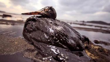 El peor derrame petrolero que haya registrado en Estados Unidos ocurrió en el 2010. (ARCHIVO)