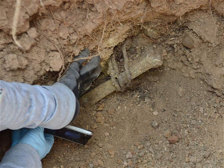 La fiscal&iacute;a es la encargada de exhumar los cuerpos y tomar las muestras gen&eacute;ticas a los cad&aacute;veres (Foto: cortes&iacute;a El Tiempo)