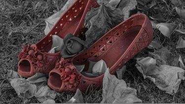 Al menos 23 venezolanas han sido asesinadas fuera de su país en lo que va de 2022.