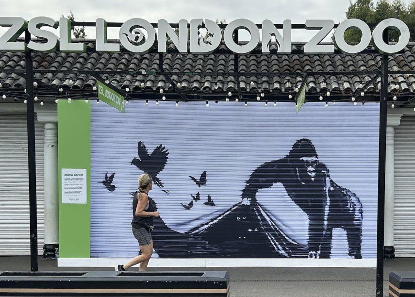 Una corredora pasa frente a una reproducción de un mural de Banksy afuera del Zoológico de Londres, el domingo 18 de agosto de 2024.&nbsp;