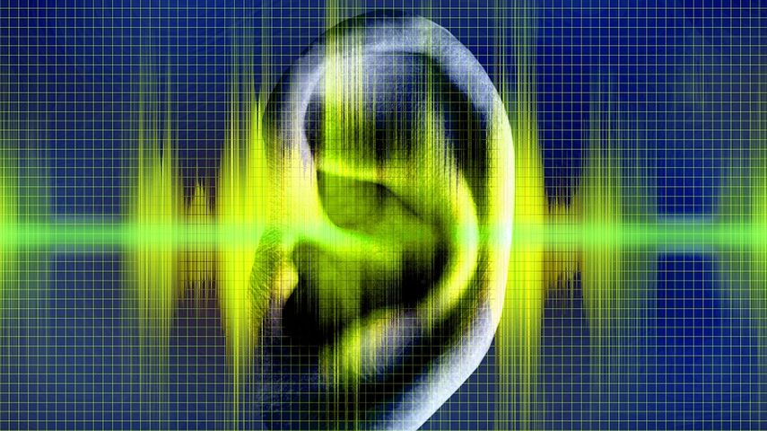 El rango de audición humana va de los 20 Hz hasta los 20000 Hz. (Archivo)