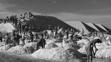 Escena del filme Araya de la cineasta venezolana Margot Benacerraf.