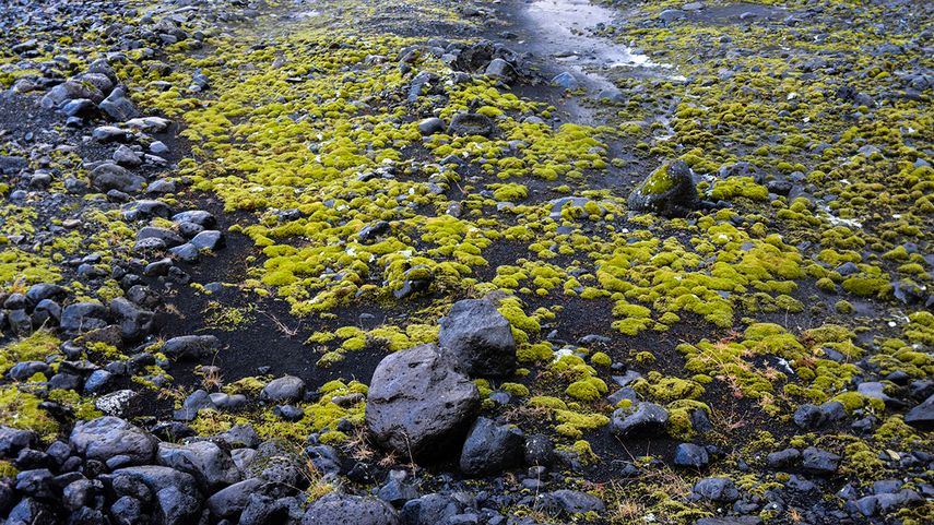 Islandia 32