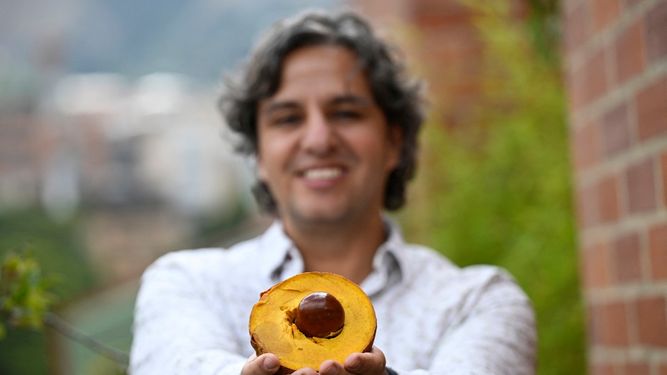 El ingeniero ambiental colombiano y entusiasta de las semillas de frutas, Gian Paolo Daguer, posa para una foto sosteniendo una fruta durante una entrevista con AFP en Bogotá el 12 de diciembre de 2024.&nbsp;