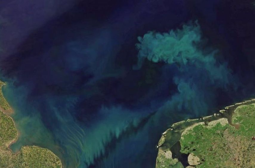 Para rastrear los cambios en el color del océano, los científicos analizaron las mediciones del color del océano tomadas por el espectrorradiómetro de imágenes de resolución moderada (MODIS) a bordo del satélite Aqua.&nbsp;