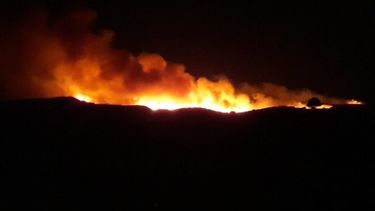 Incendio forestal en el Pinar del T&aacute;bano.&nbsp;