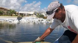 Según fuentes oficiales, de los 18 hoteles situados en Cayo Coco y Cayo Guillermo, 14 estarán totalmente recuperados para el 1 de noviembre y los cuatro restantes, para el día 15.