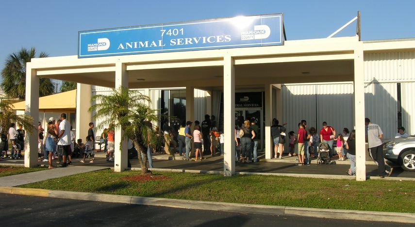 Sede del Departamento de Servicios para Animales de&nbsp;Miami-Dade.