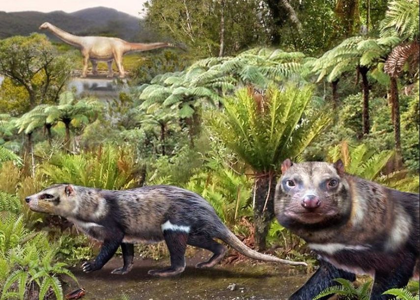 Fósiles de una bestia con cinco dientes descubiertos en la Patagonia