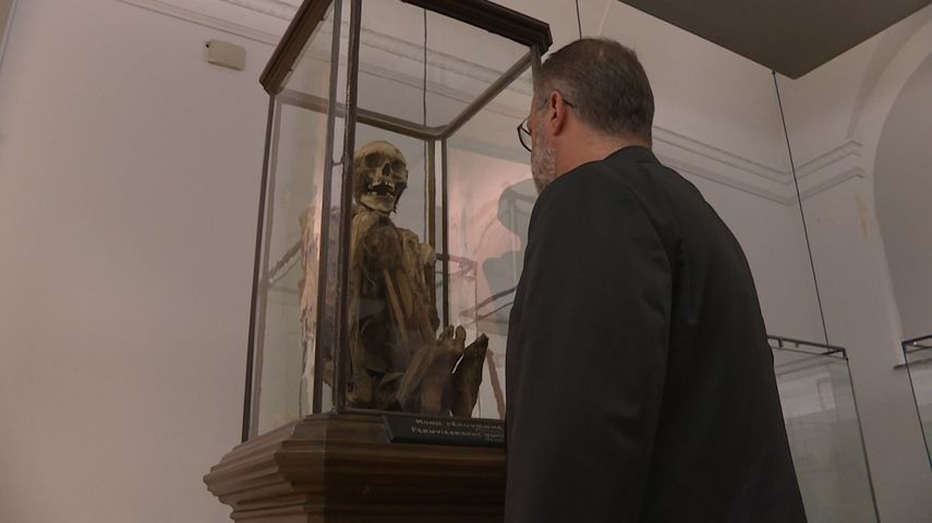 Vista de la momia amerindia en el&nbsp;Museo de Arte y de Historia de Bruselas, B&eacute;lgica.