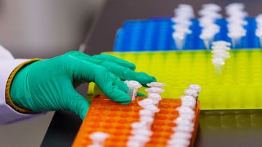 Un técnico trabaja en el laboratorio de investigación de ADN para la secuenciación de genes, en Nanjing (China).&nbsp;