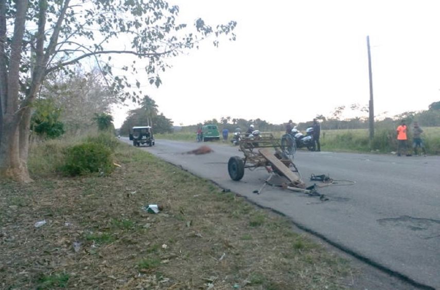 Caballo desbocado impacta contra un automóvil en La Habana