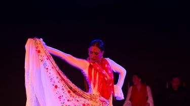 Presentación del Ballet Flamenco La Rosa.