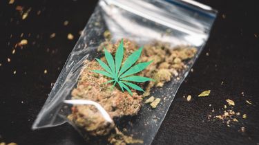 Una bolsa con marihuana. 