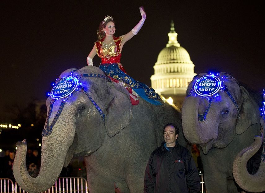 Un acto del circo Ringling Bros. en Washington D.C., 2013. (AP). 
