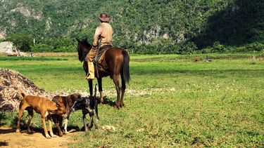 Un campesino en Cuba. 