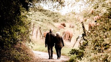 Debemos divorciarnos de nuestra familia de origen. Ojal&aacute; sea amistoso, donde pongamos claro que mi pareja est&aacute; primero y que mi familia tambi&eacute;n estar&aacute; primero.
