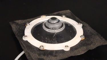 Parte de la piel creada por los científicos.&nbsp;