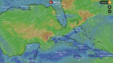 Imagen generada por el sitio Windy, donde se aprecia este fenómeno meteorológico.&nbsp;
