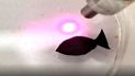 Diminuto robot con forma de pez que nada recogiendo microplásticos