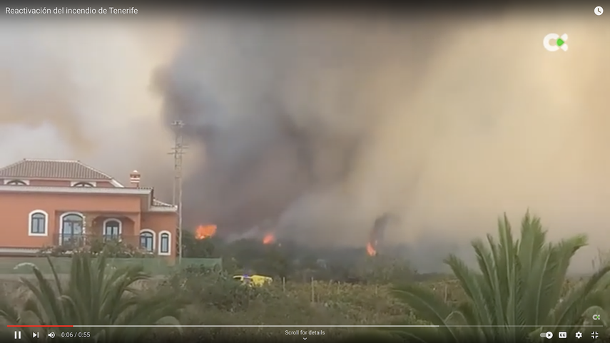 Vista parcial del incendio forestal en Tenerife.&nbsp;