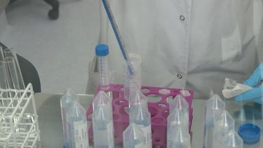 El laboratorio británico AstraZeneca ensaya un medicamento contra el COVID-19.