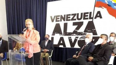 Miembros de la sociedad civil apoyan la Consulta Popular.