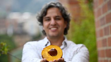 El ingeniero ambiental colombiano y entusiasta de las semillas de frutas, Gian Paolo Daguer, posa para una foto sosteniendo una fruta durante una entrevista con AFP en Bogotá el 12 de diciembre de 2024. 