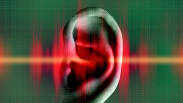 Estudios recientes han demostrado que niveles de ruido superiores a los 90 dB lesionan las células ciliadas auditivas. (Archivo)