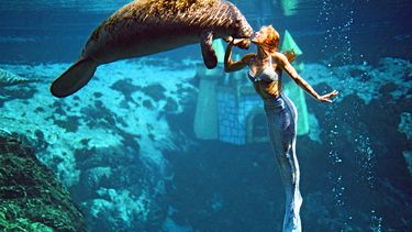 Las presentaciones se llevan a cabo a poca distancia de la fuente del río Weeki Wachee.