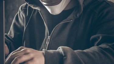 Safe-Inet llevaba activo más de una década y era utilizado por algunos de los mayores delincuentes informáticos del mundo.