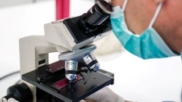 Imagen de archivo de un laboratorio.