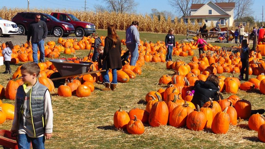 Inicia la fiesta de Oto&ntilde;o con el esperado&nbsp;Pumpkin Patch.&nbsp;