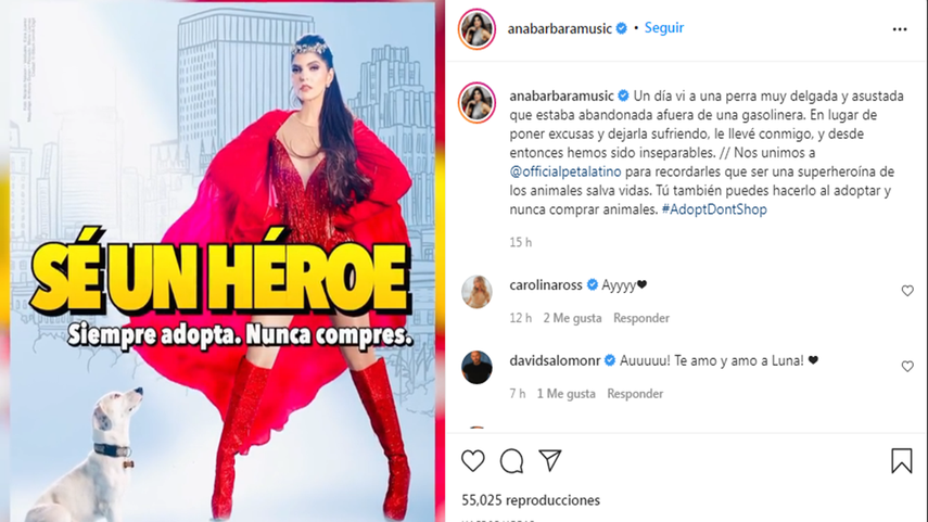 Ana Bárbara: ¡Adopta, no compres!