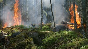 El estudio científico busca motivar a las personas a prepararse mejor para los incendios forestales y hacer planes de escape