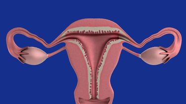 El Día Mundial de la Prevención de Cáncer de Cuello Uterino es el 26 de marzo