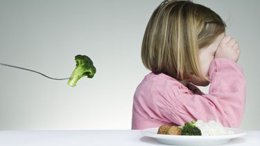 Diario las Américas | Neofobia salud