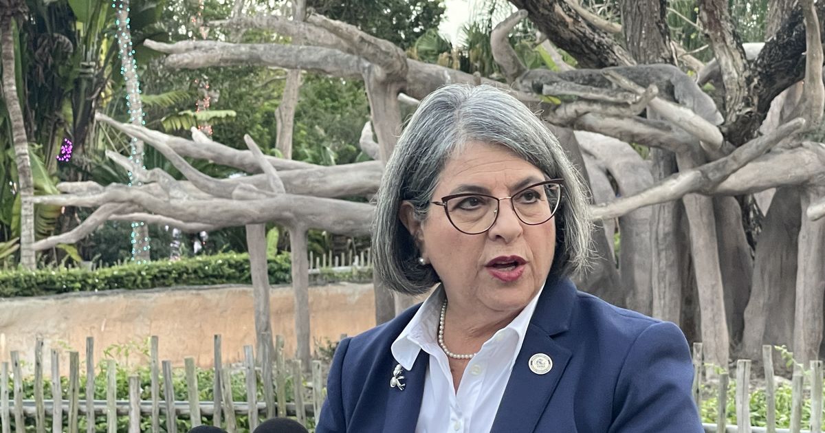 Daniella Levine Cava rechaza plan de DeSantis para construir cárcel migratoria en los Everglades