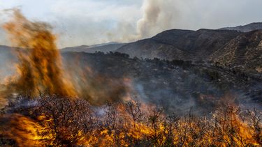 Las llamas consumen un incendio cerca de Altura, en el este de España, el viernes 19 de agosto de 2022.&nbsp;