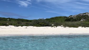 Diario las Américas | IMG_1916 (4).jpg