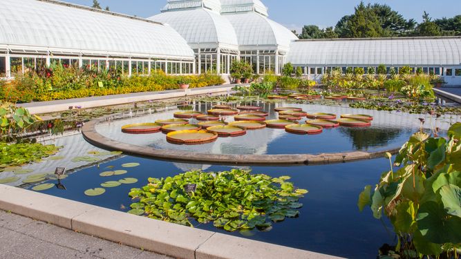 New York Botanical Garden. 