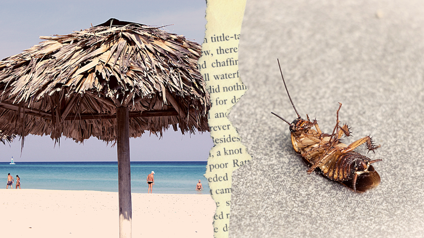 El turismo en Cuba deja mucho que desear por su mala calidad y precios más altos que otros destinos como República Dominicana y México.&nbsp;