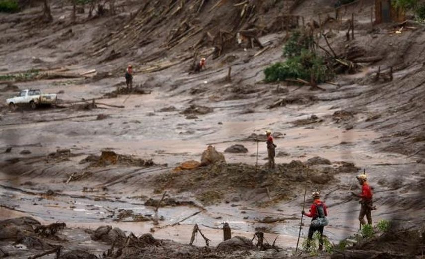 La pérdida de hábitat es enorme y el daño provocado en el ecosistema es irreversible, dijo un ambientalista (REUTERS)