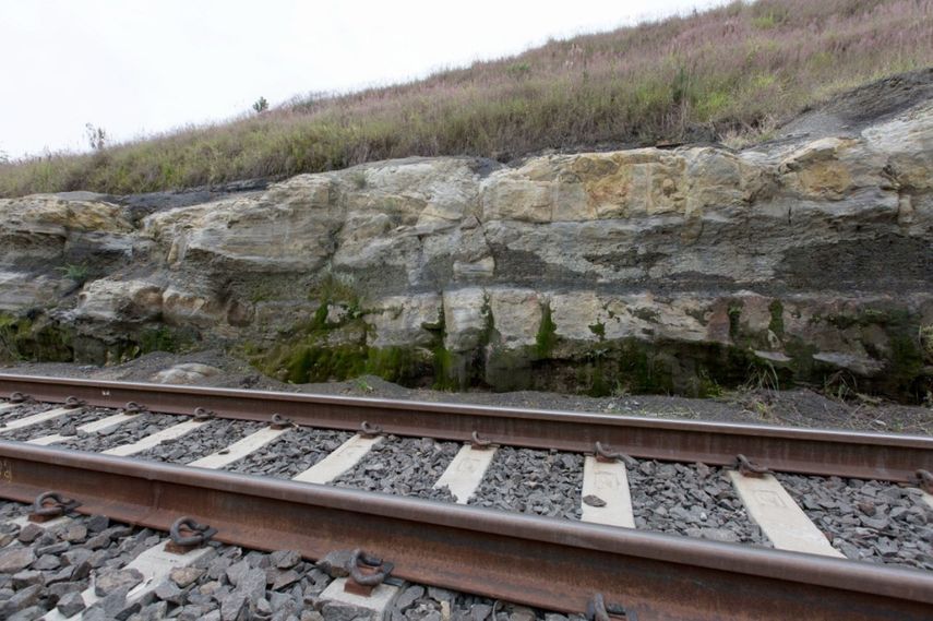Vista de fósiles encontrados dentro de rocas de un bosque con 165 árboles en Ortigueira, estado de Paraná, sur de Brasil, el 15 de junio de 2022. El descubrimiento retrata formas de vida de hace 290 millones de años. Con raíces todavía fijas en el sustrato en ese momento, los árboles conservan su posición vertical, lo cual es raro.