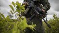 Colombia decomisa más de 100 toneladas de cocaína Colombia decomisa más de 100 toneladas de cocaína