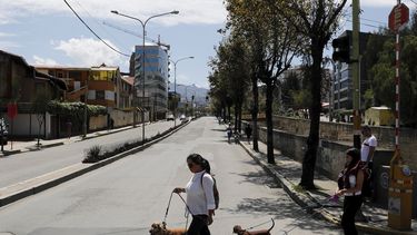Una mujer pasea a sus perros durante un d&iacute;a de elecciones en La Paz, Bolivia, el domingo 20 de octubre de 2019